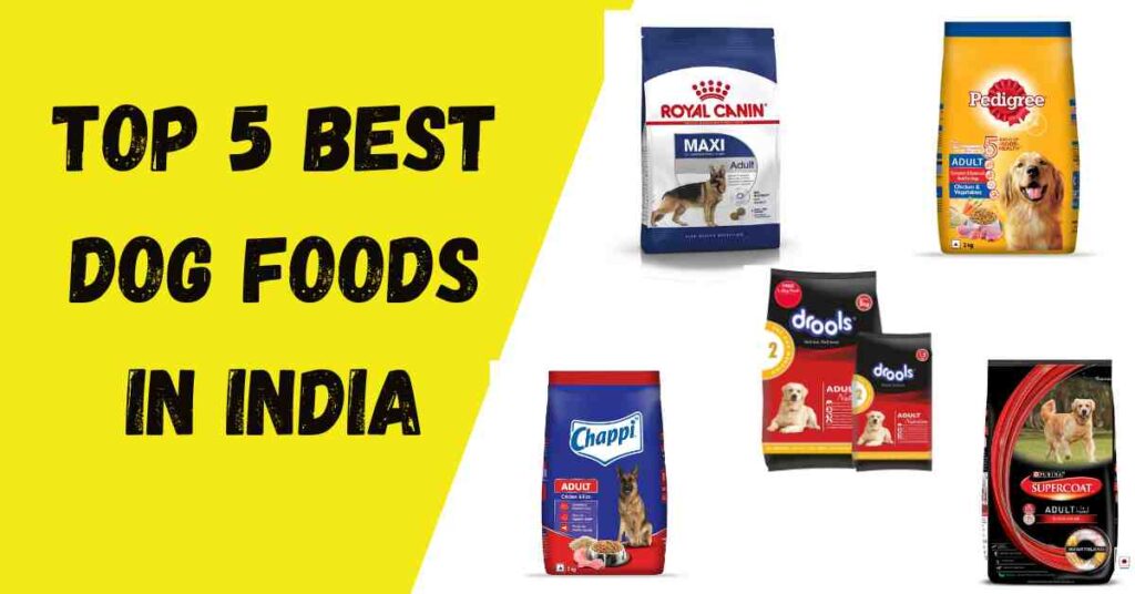 best Dog Food in India
